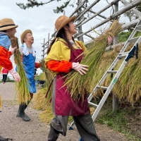 常盤貴子＆仲間由紀恵＆澤部佑、能登３人旅　千枚田で稲刈りに挑戦