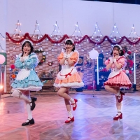 「第17回 明石家紅白！」