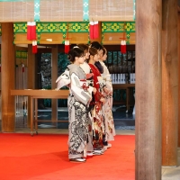 乃木坂46、乃木神社で成人式を実施