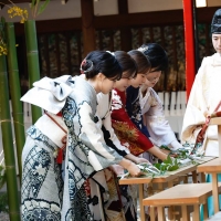 乃木坂46、乃木神社で成人式を実施