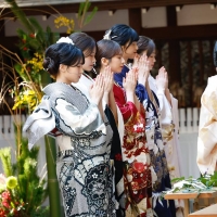 乃木坂46、乃木神社で成人式を実施