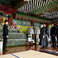 志尊淳が主演、ドラマ「10回切って倒れない木はない」キャスト新場面写真を一挙公開