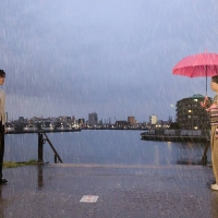 日本テレビ系日曜ドラマ『10回切って倒れない木はない』