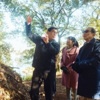 「ブラタモリ」国宝五城、制覇へ　犬山城を舞台に信長・秀吉・家康が愛した理由を解き明かす