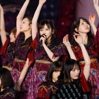 乃木坂46、14回目の誕生日を東京ドームで祝う