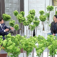 賀来賢人「日曜日の初耳学」