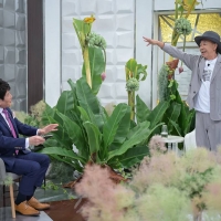 木梨憲武「日曜日の初耳学」