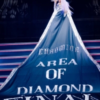 「AREA OF DIAMOND FINAL」